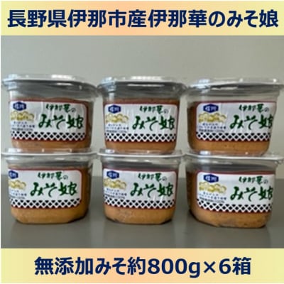 伊那華のみそ娘　みそ　800g×6個セット