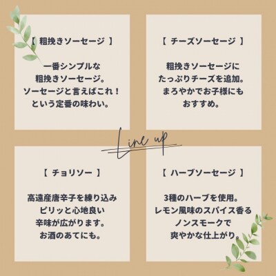 BUTCHER　高遠で手作り「ソーセージ」詰め合わせ