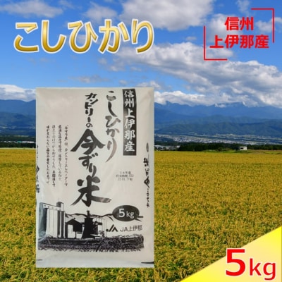 令和7年　信州　長野県　上伊那産　コシヒカリ　今ずり米　5kg　1袋