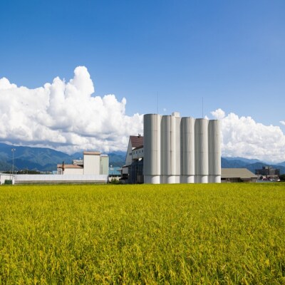 令和7年　信州　長野県　上伊那産　コシヒカリ　今ずり米　10kg　(5kg×2袋)