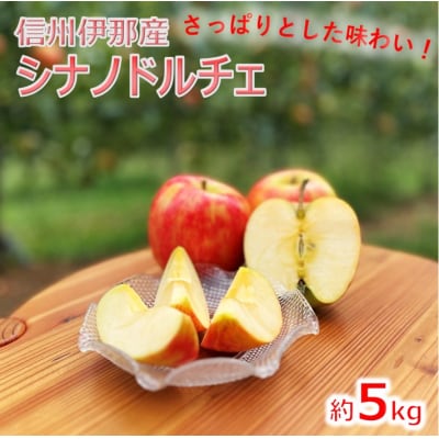 信州伊那産　りんご　シナノドルチェ　5㎏