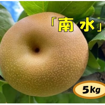 【数量限定】ガブッ!シャキ!ジュワー!と甘すぎ南水(梨　南水　5キロ)