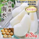 2025年秋発送!本当に甘い!信州が生んだ甘い梨!南水約3キロ