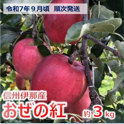 令和7年9月ごろ発送!信州のりんご　おぜの紅　約3キロ