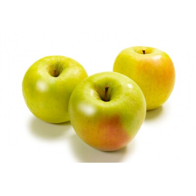 信州のりんご　名月　訳あり家庭用　約5kg