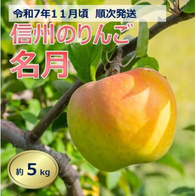 令和7年11月ごろ発送先行受付!　信州のりんご　名月　約5kg
