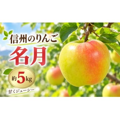 信州のりんご　名月　約5kg