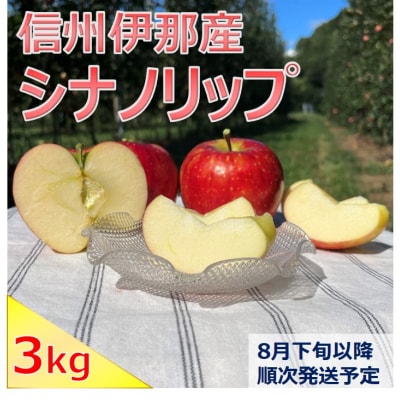 信州伊那産　りんご　シナノリップ　3kg