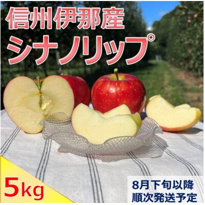 信州伊那産　りんご　シナノリップ　5kg