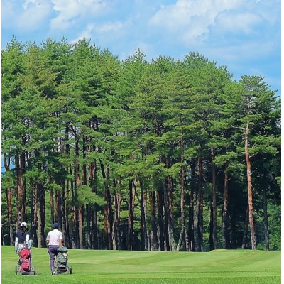 信州伊那国際ゴルフクラブ　ゴルフ場利用補助券