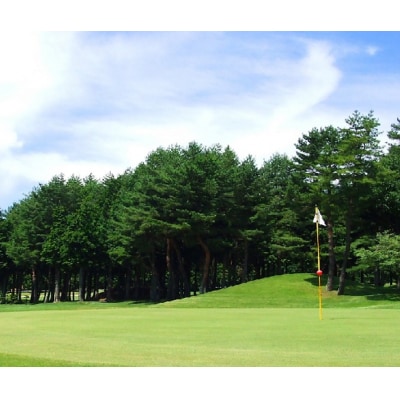 信州伊那国際ゴルフクラブ　ゴルフ場利用補助券