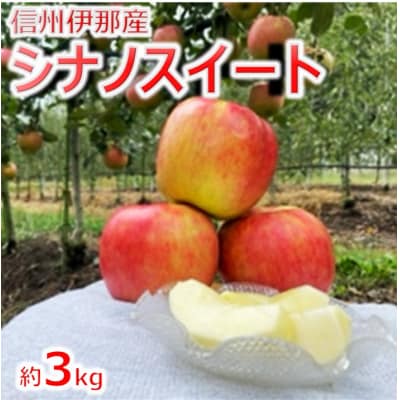 信州伊那産　りんご　シナノスイート　3kg