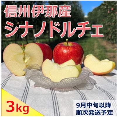 信州伊那産　りんご　シナノドルチェ　3㎏