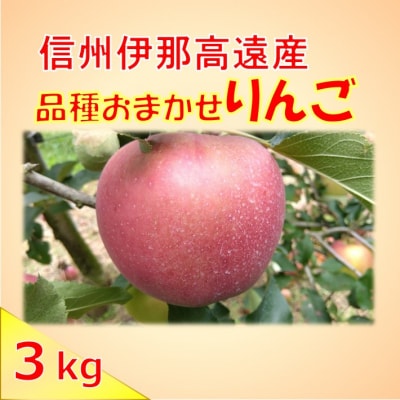 信州高遠町産　ご家庭用　りんご　約3kg　品種おまかせ