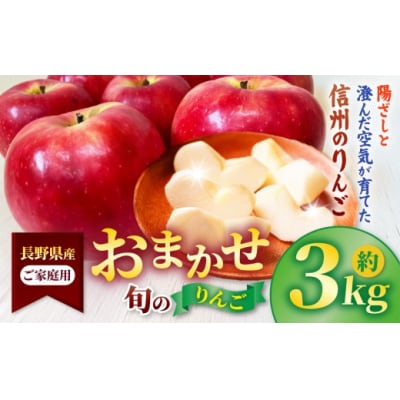 信州高遠町産　ご家庭用　りんご　約3kg　品種おまかせ