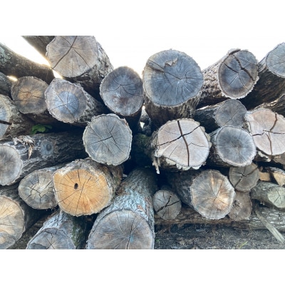 乾燥・ナラ薪40cm　(20kg×2箱セット)(DLD　ディーエルディー)