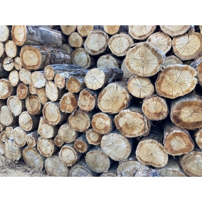 乾燥・ナラ薪40cm　(20kg×2箱セット)(DLD　ディーエルディー)