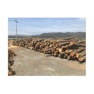 乾燥・広葉樹ミックス薪30cm(20kg×2箱セット)(ディーエルディー　DLD)