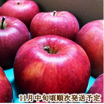 令和7年11月以降発送　傷等訳あり・ご家庭用　甘い!希少!りんご　幻のあいかの香り　3キロ