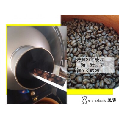 スペシャリティコーヒー　パナマ　ゲイシャ　ラ・エスメラルダ農園　豆　100g×2袋