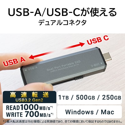 ロジテック USB-A/C対応 外付けSSD 500GB LMD-SPCH050UAC 031-07