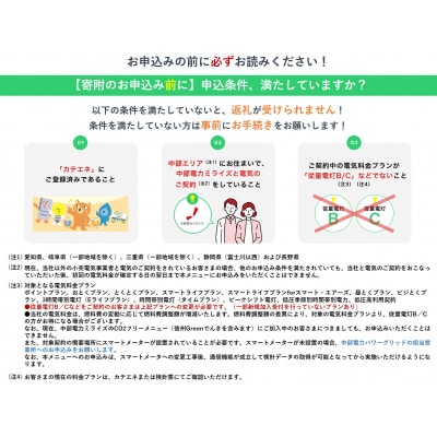 伊那市産CO2フリー電気(50,000円)