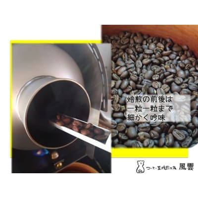 鮮度が決め手　自家焙煎コーヒー　粉　100g×3種　(産地・焙煎度はお任せ)【013-24】