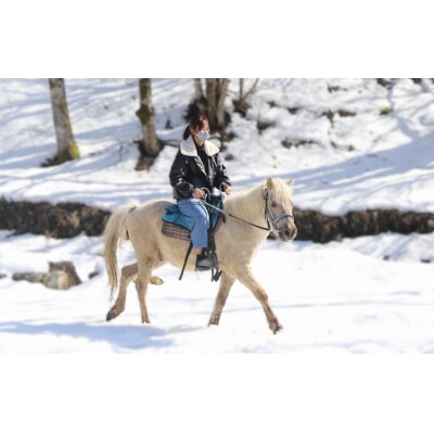 里山で乗馬体験(馬のブラシがけと乗馬でむらをお散歩)1人から5人まで可能