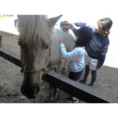 里山で乗馬体験(馬のブラシがけと乗馬でむらをお散歩)1人から5人まで可能