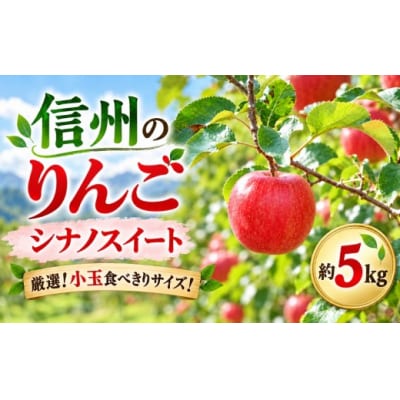 シナノスイート　小玉　約5キロ!　信濃三兄弟の一つ(りんご・リンゴ・林檎)