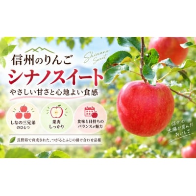 シナノスイート　小玉　約5キロ!　信濃三兄弟の一つ(りんご・リンゴ・林檎)