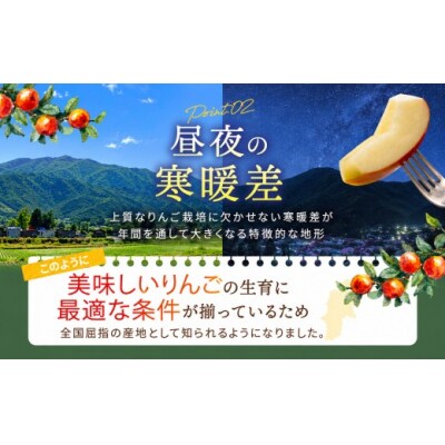 シナノスイート　小玉　約5キロ!　信濃三兄弟の一つ(りんご・リンゴ・林檎)
