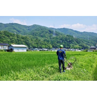 田んぼオーナー　玄米180キロ相当　20キロ×9-10回分