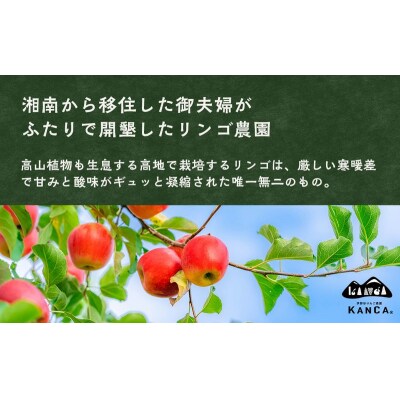 KANCA アップルジュース　1000ml×2本