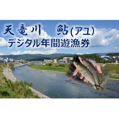 【048-07】天竜川漁業協同組合　アユ　年間遊漁券　釣り　鑑札　渓流　釣り券　漁業券　入漁券　FI