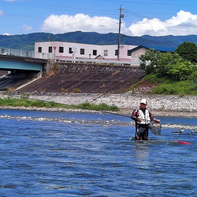 【048-07】天竜川漁業協同組合　アユ　年間遊漁券　釣り　鑑札　渓流　釣り券　漁業券　入漁券　FI