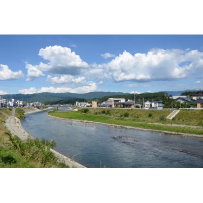 天竜川漁業協同組合　一般魚　年間遊漁券　釣り　鑑札　渓流　釣り券　漁業権　入漁券