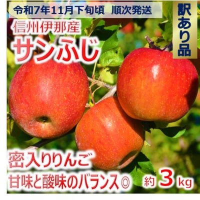 信州のサンふじ　訳あり　3キロ!(りんご・リンゴ・林檎)