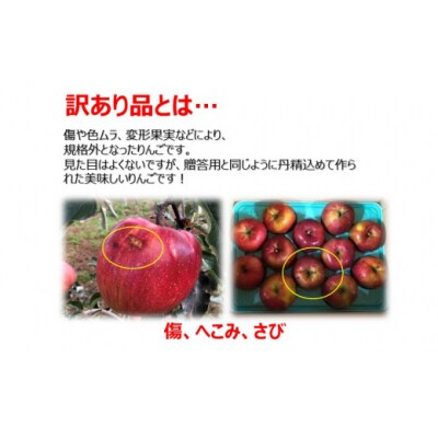 信州のりんご　シナノスイート　訳あり　約3キロ!　信濃三兄弟の一つ(りんご・リンゴ・林檎)