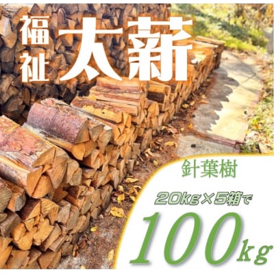 信州産　松の薪　約100キロ(20キロ×5箱)　薪長35センチ