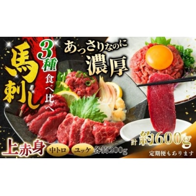 馬刺し 3種食べ比べ約600g( 上赤身 ・ 霜降り・ユッケ 各約200g )