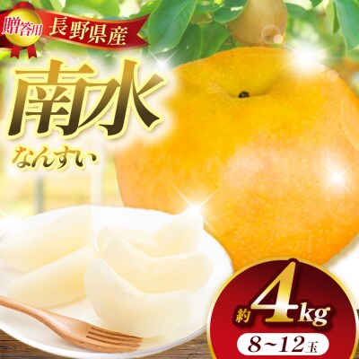 信州 上伊那産の梨 贈答用 南水 約4kg  (8～12玉)