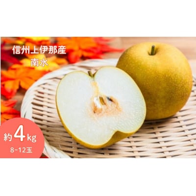 信州 上伊那産の梨 贈答用 南水 約4kg  (8～12玉)