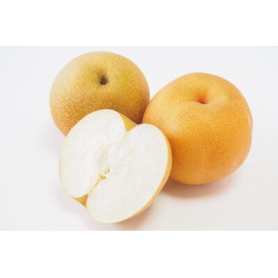 信州 上伊那産の梨 贈答用 南水 約4kg  (8～12玉)