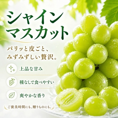 信州伊那産　大粒ぶどうのシャインマスカット　2房　約1200g　