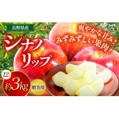 夏リンゴ　贈答用 シナノリップ 上伊那産　約3kg (12玉)