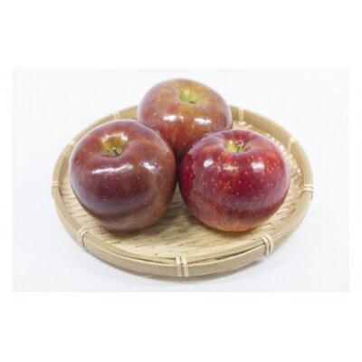 夏リンゴ　贈答用 シナノリップ 上伊那産　約3kg (12玉)