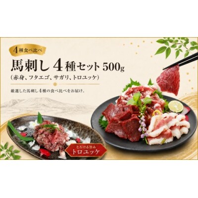 馬刺し 4種セット 500g(赤身、フタエゴ、サガリ、トロユッケ) 希少部位 馬肉 冷凍 真空パック