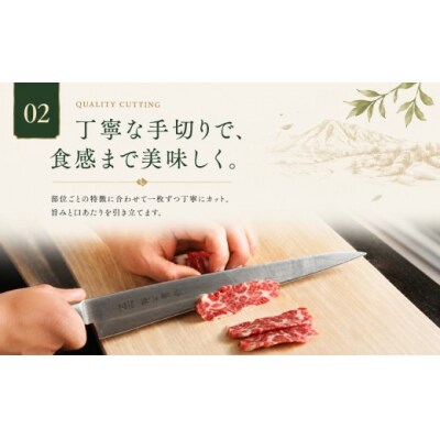 馬刺し 4種セット 500g(赤身、フタエゴ、サガリ、トロユッケ) 希少部位 馬肉 冷凍 真空パック