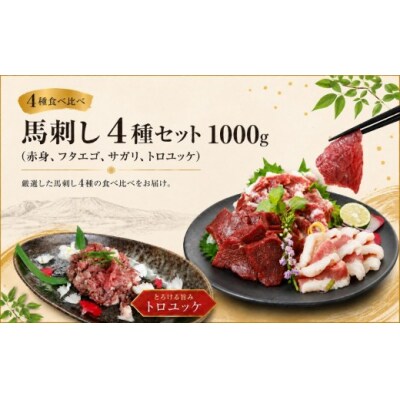 馬刺し 4種セット 1000g(赤身、フタエゴ、サガリ、トロユッケ) 希少部位馬肉 冷凍 真空パック